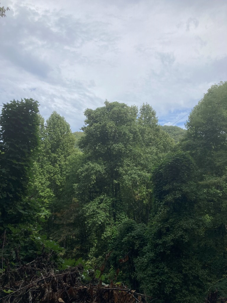 0 Laurel Dr