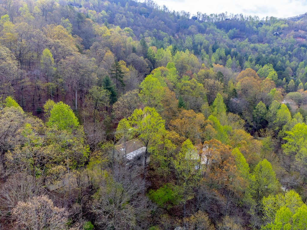 306 Griffin Road