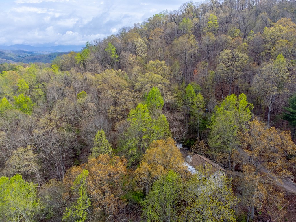 306 Griffin Road