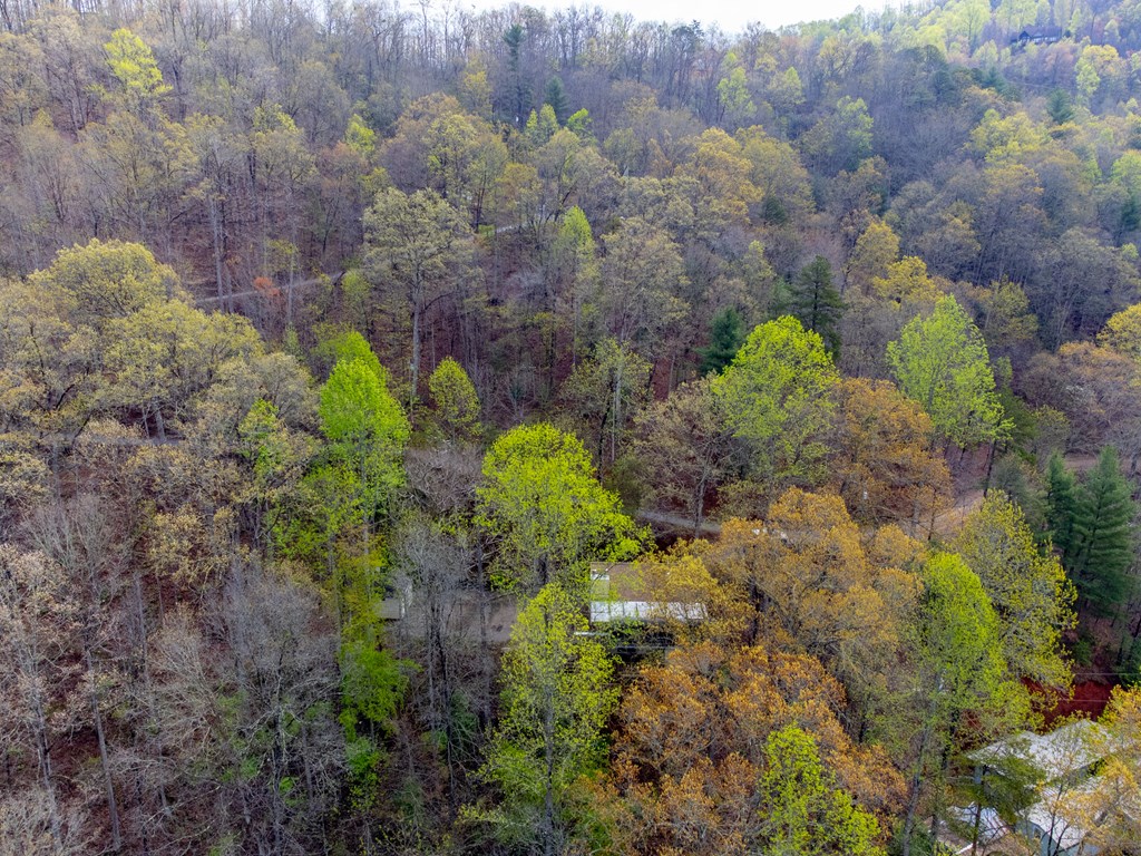 306 Griffin Road