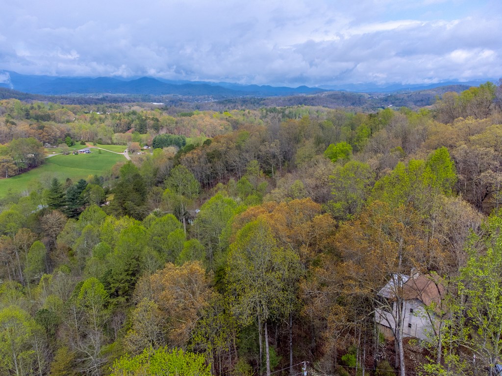 306 Griffin Road