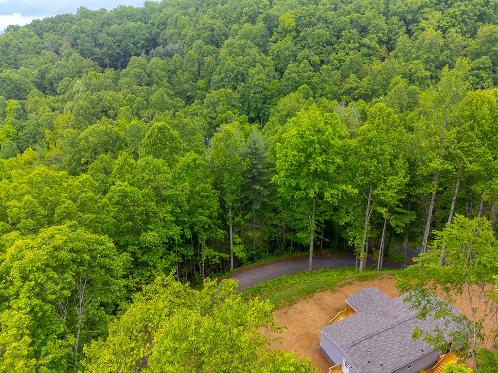 272 Dusty Lane