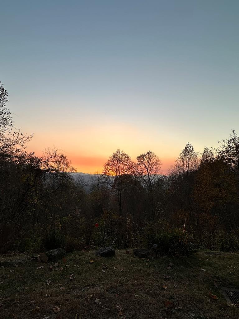 334 Fox Den Ridge