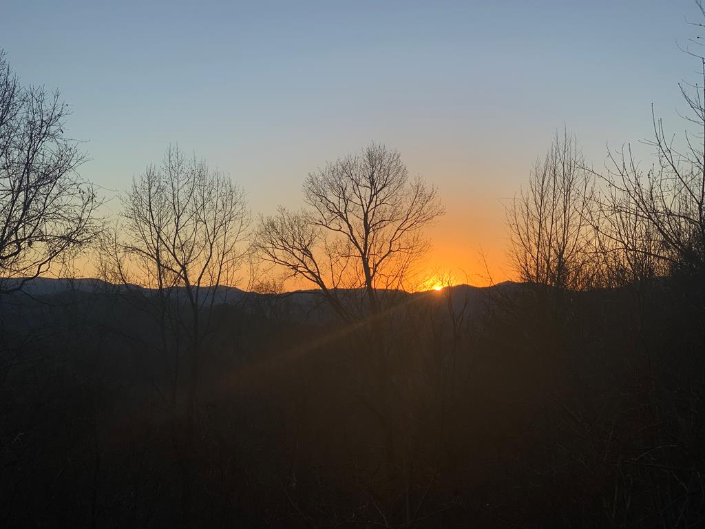 334 Fox Den Ridge