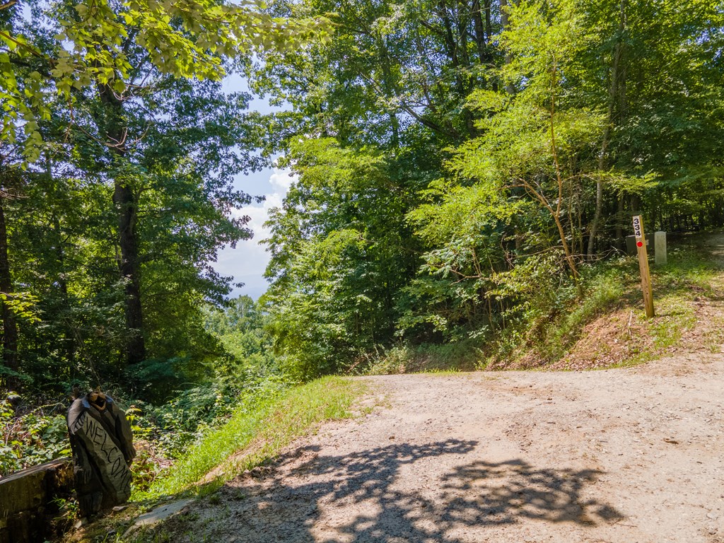 334 Fox Den Ridge
