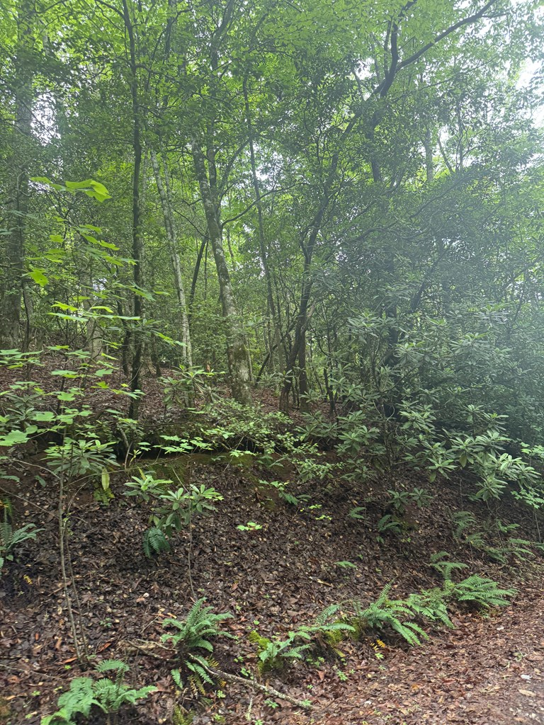0 Willow Pond Road