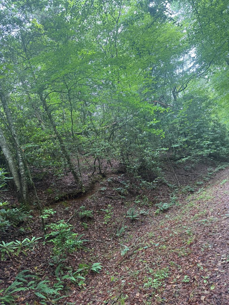 0 Willow Pond Road