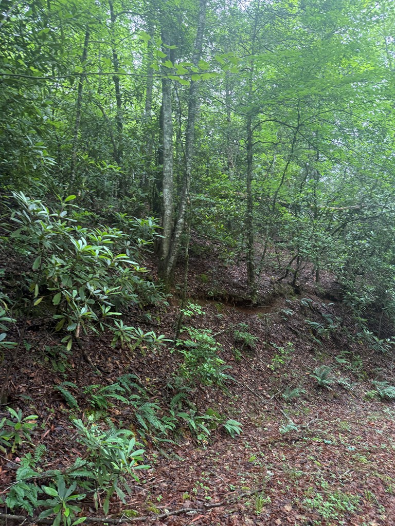 0 Willow Pond Road