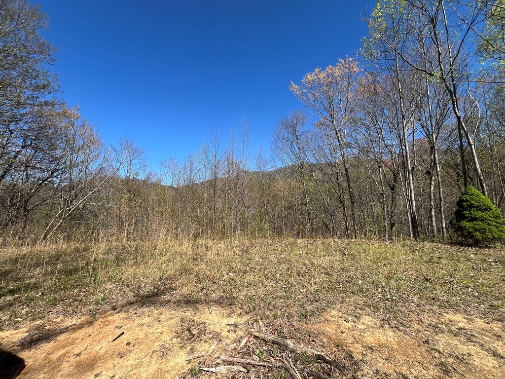 359 Loon Lane