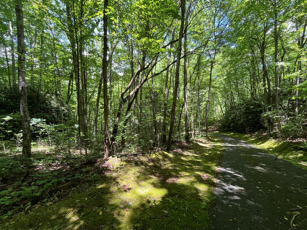 359 Loon Lane