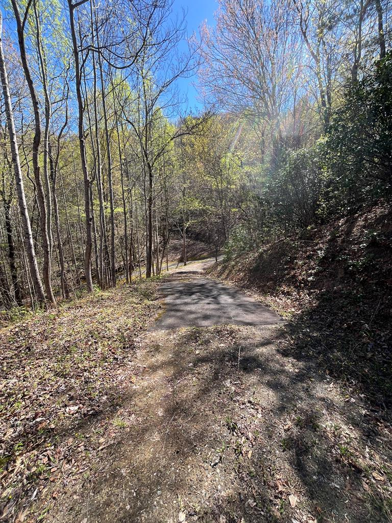 359 Loon Lane