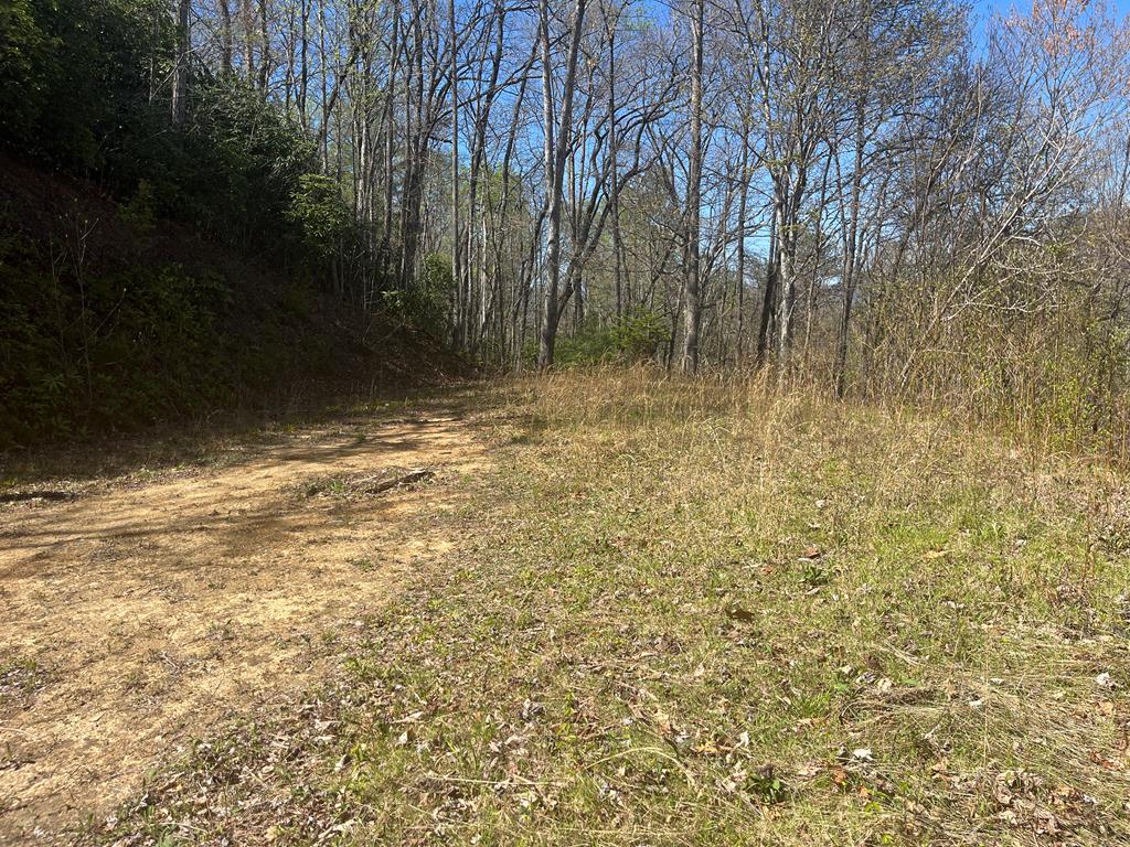 359 Loon Lane