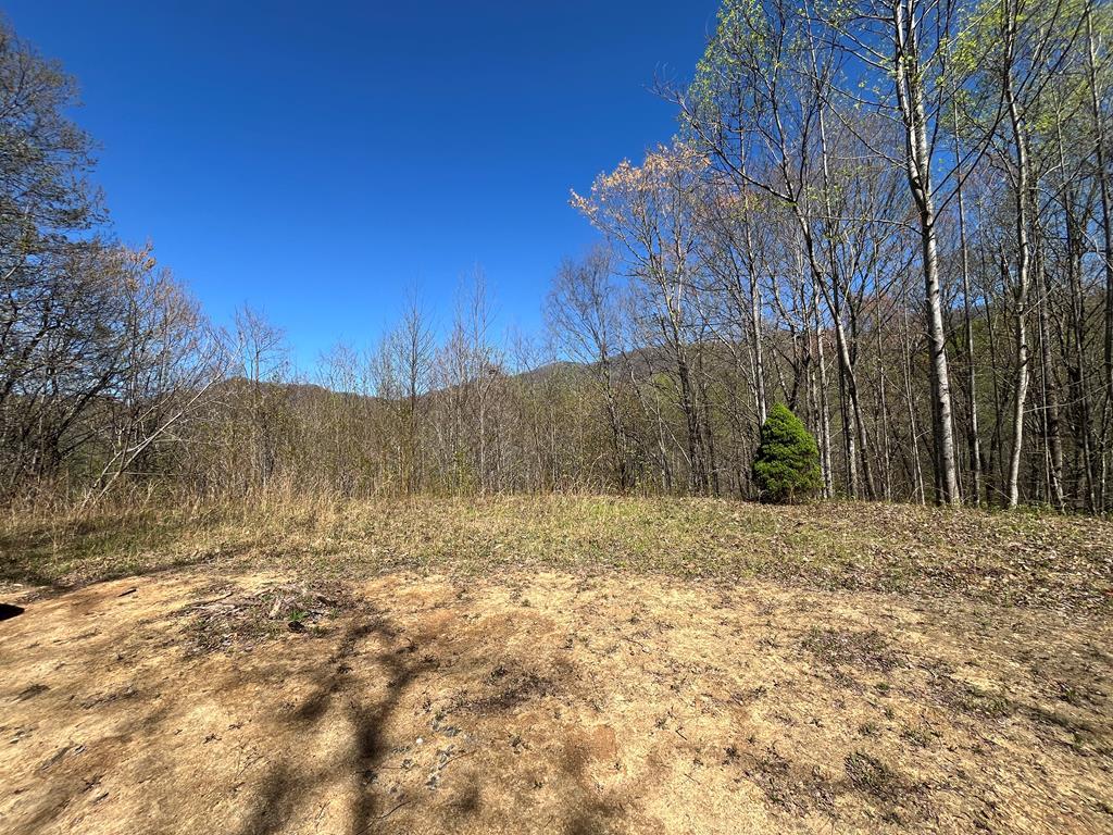 359 Loon Lane