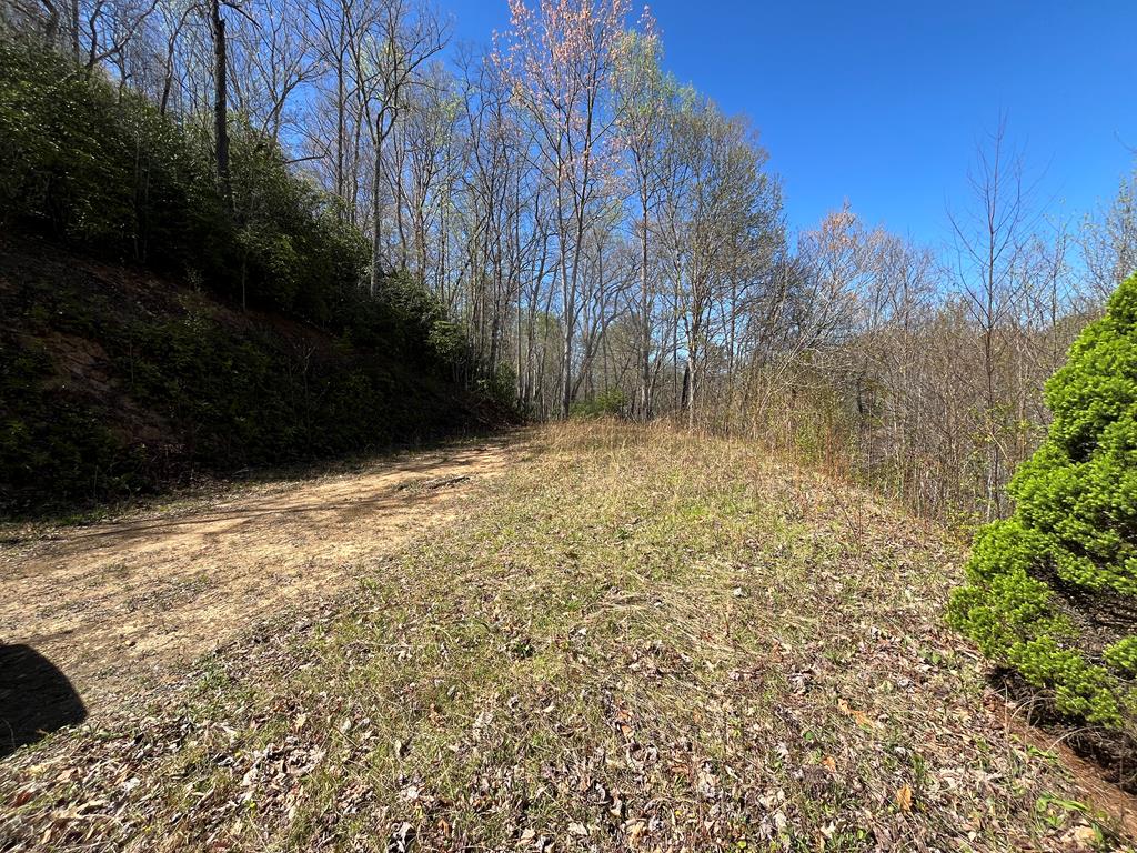 359 Loon Lane