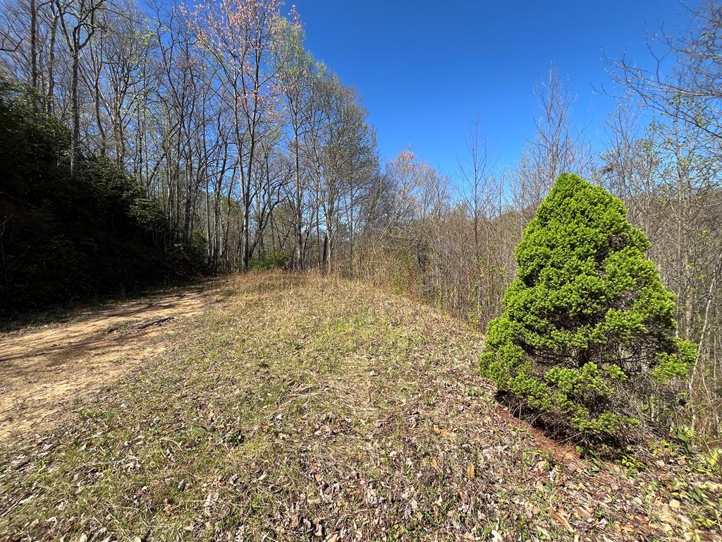 359 Loon Lane