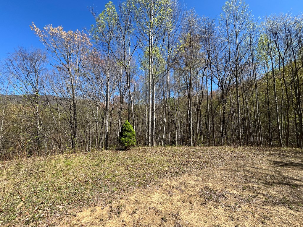 359 Loon Lane