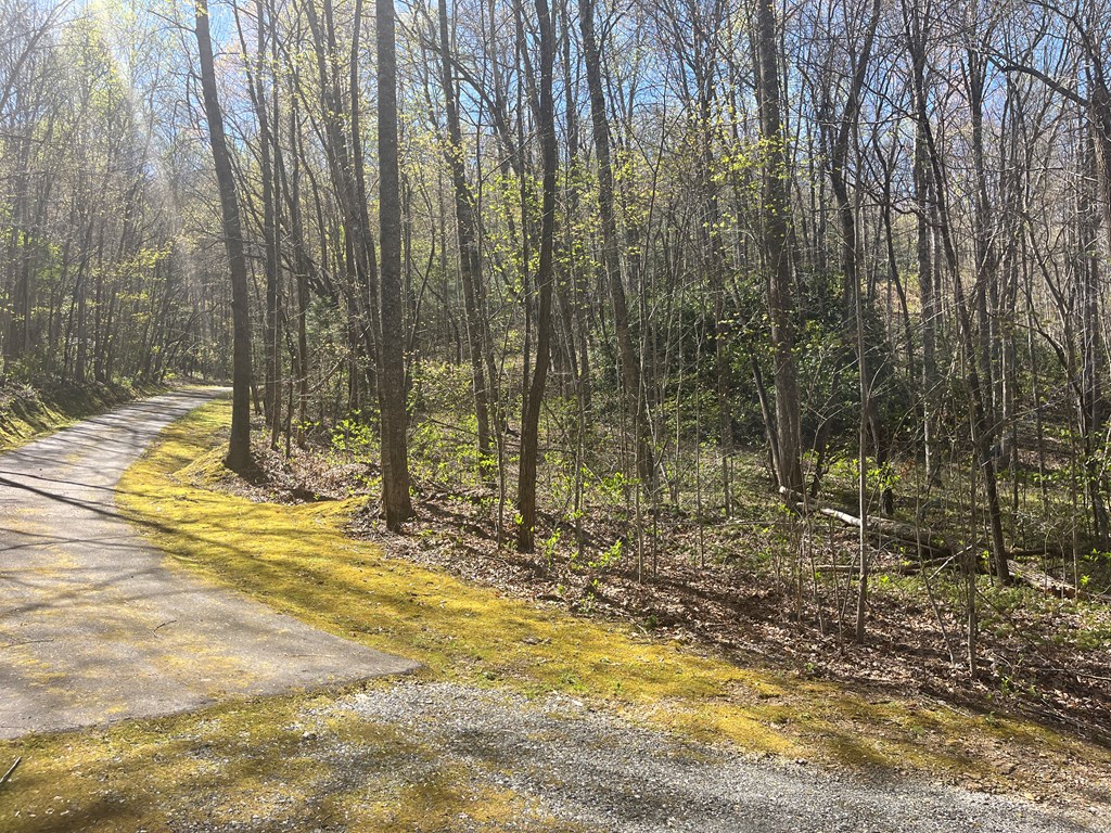 359 Loon Lane