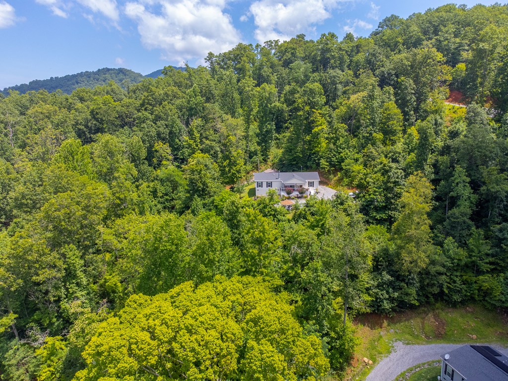 206 Red Rile Trail