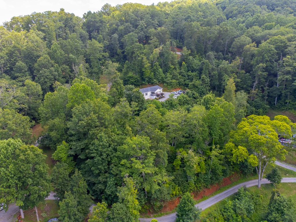 206 Red Rile Trail
