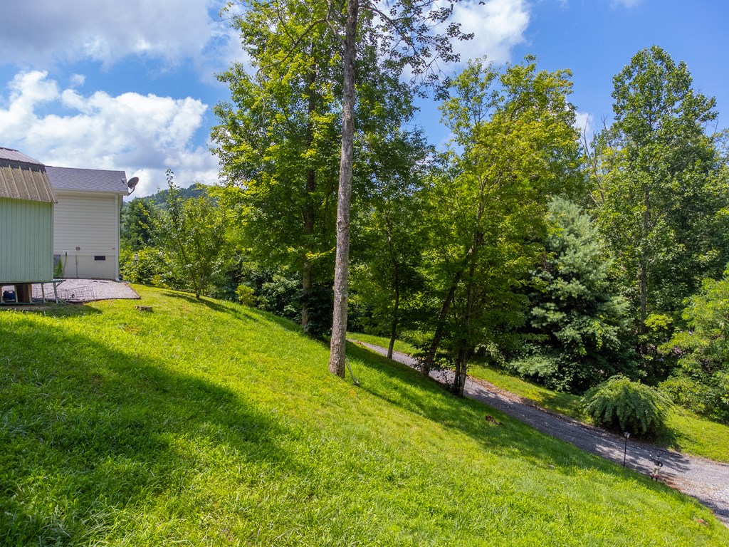 206 Red Rile Trail