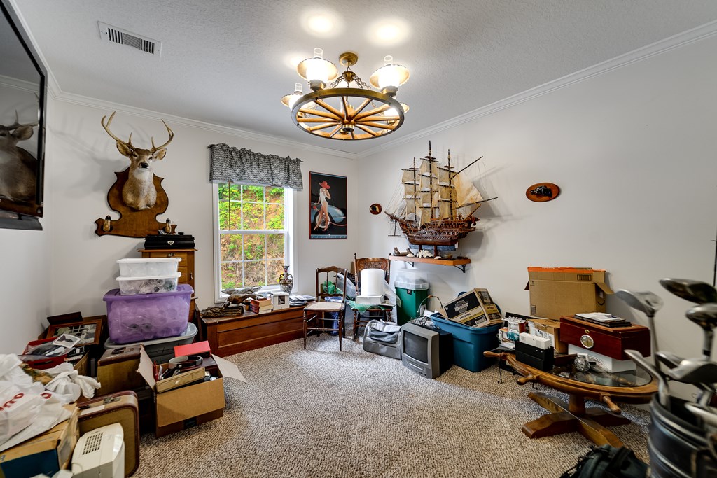 206 Red Rile Trail