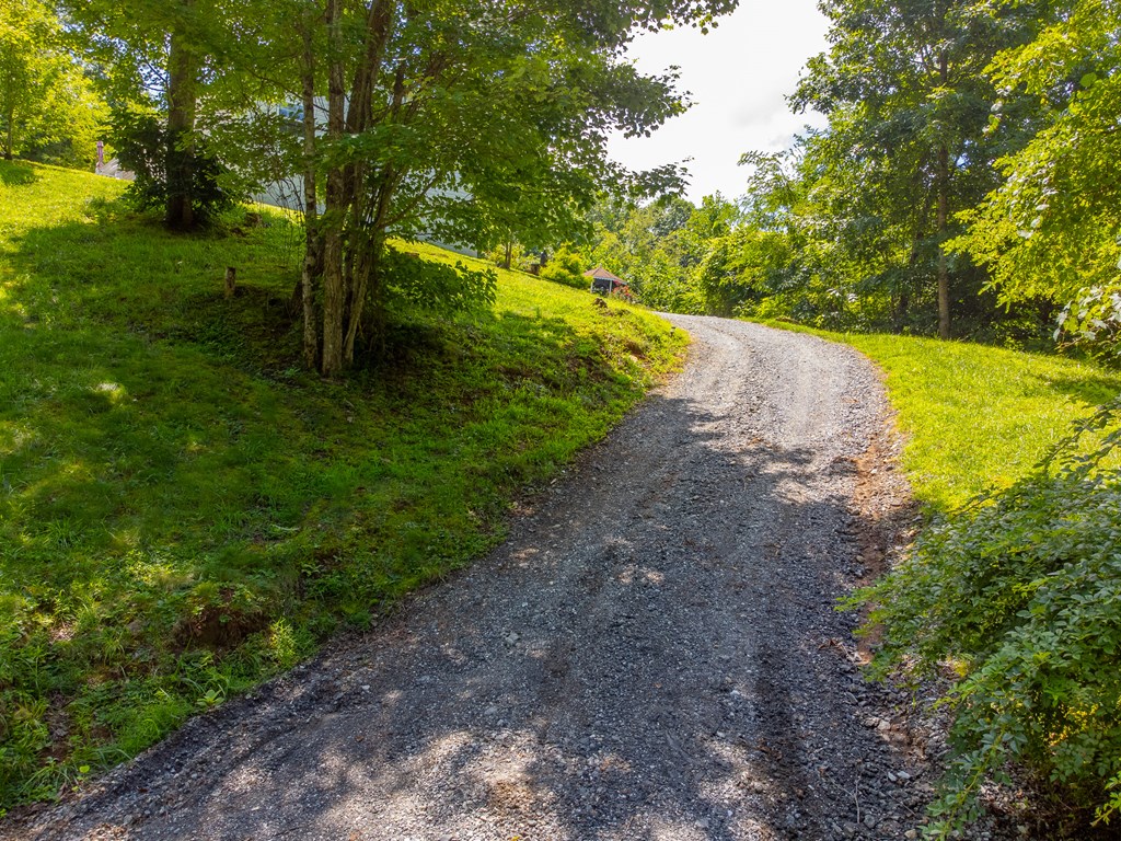 206 Red Rile Trail