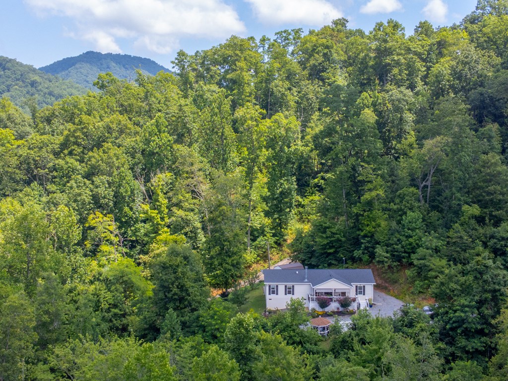 206 Red Rile Trail