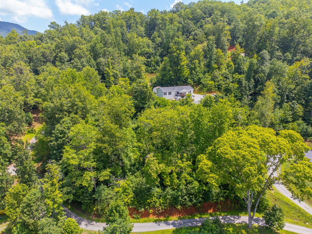 206 Red Rile Trail