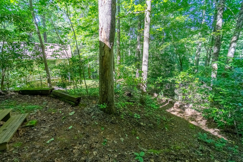 273 Happy Nest Road
