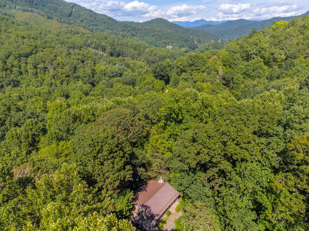 273 Happy Nest Road