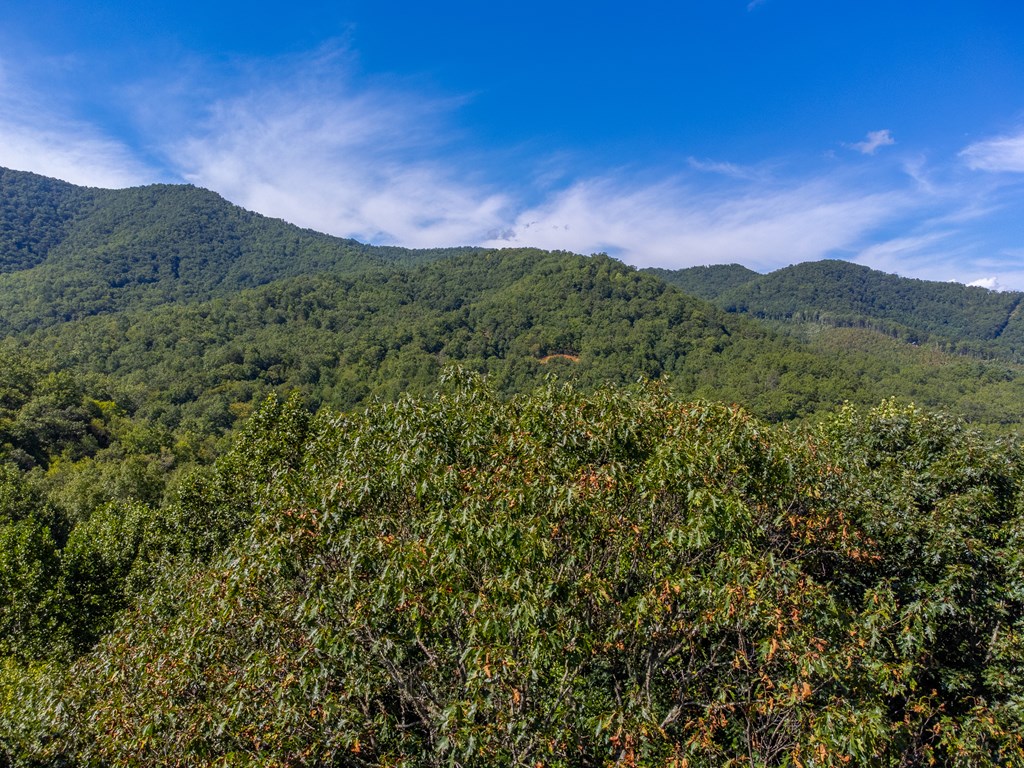 273 Happy Nest Road