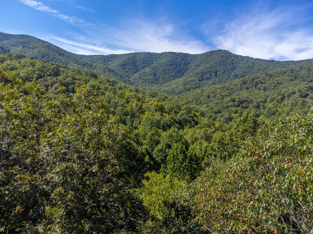 273 Happy Nest Road