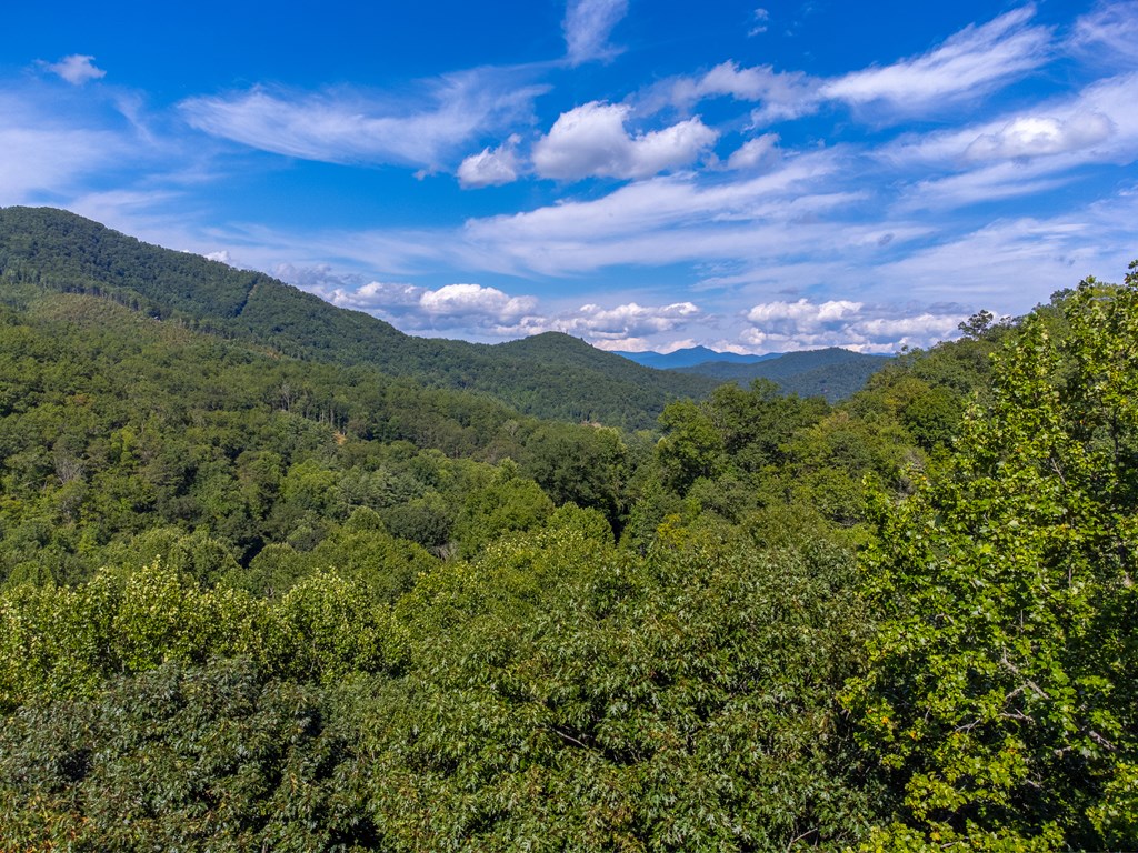 273 Happy Nest Road