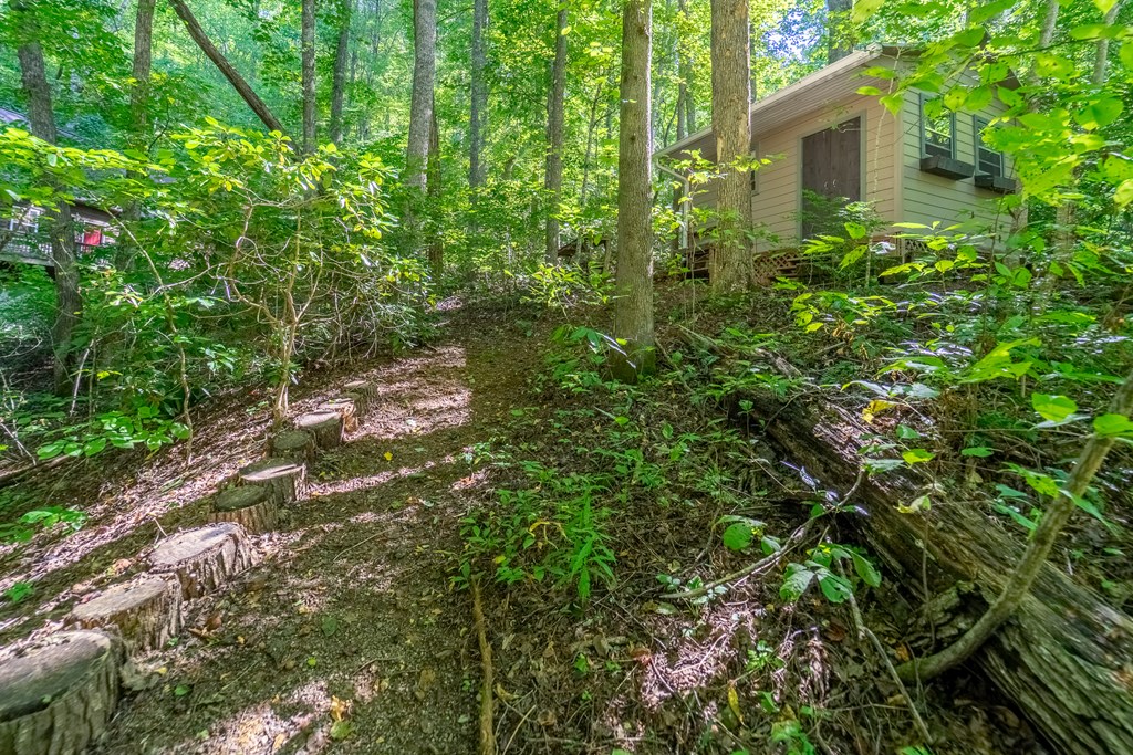 273 Happy Nest Road
