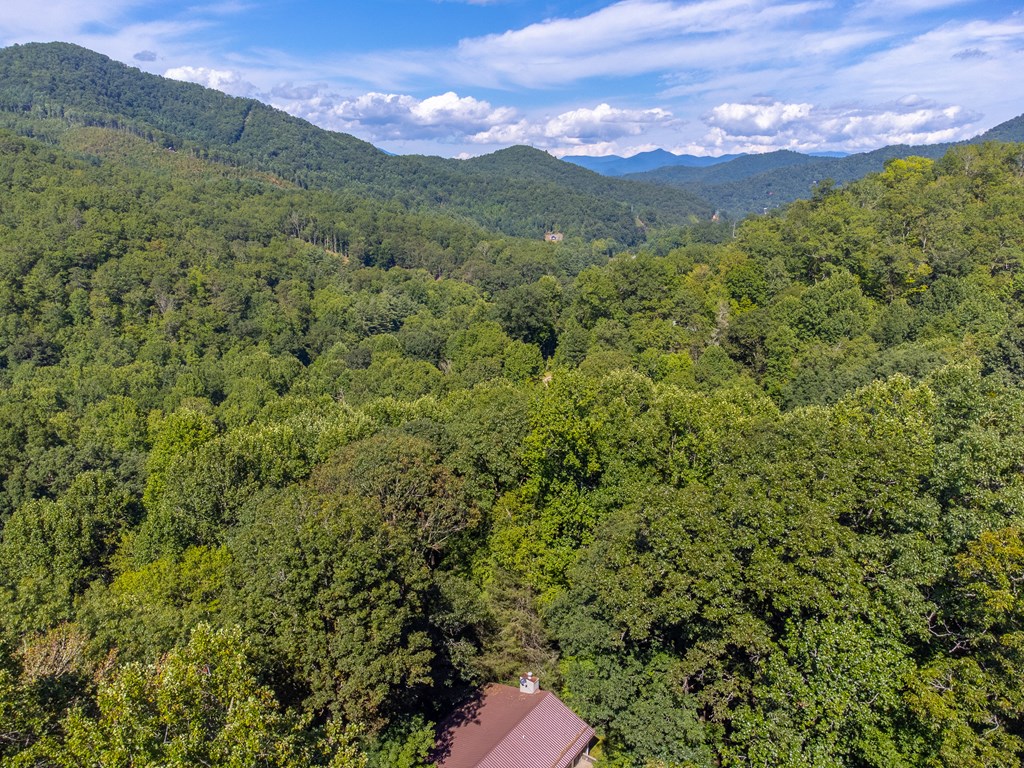273 Happy Nest Road