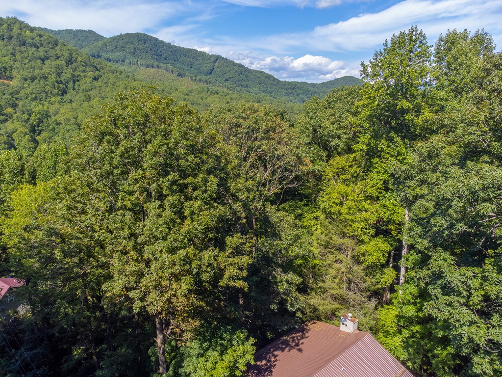 273 Happy Nest Road