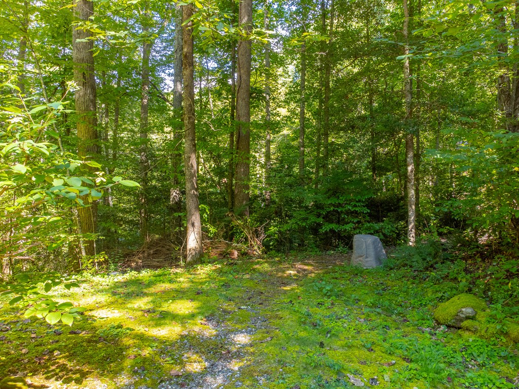 273 Happy Nest Road