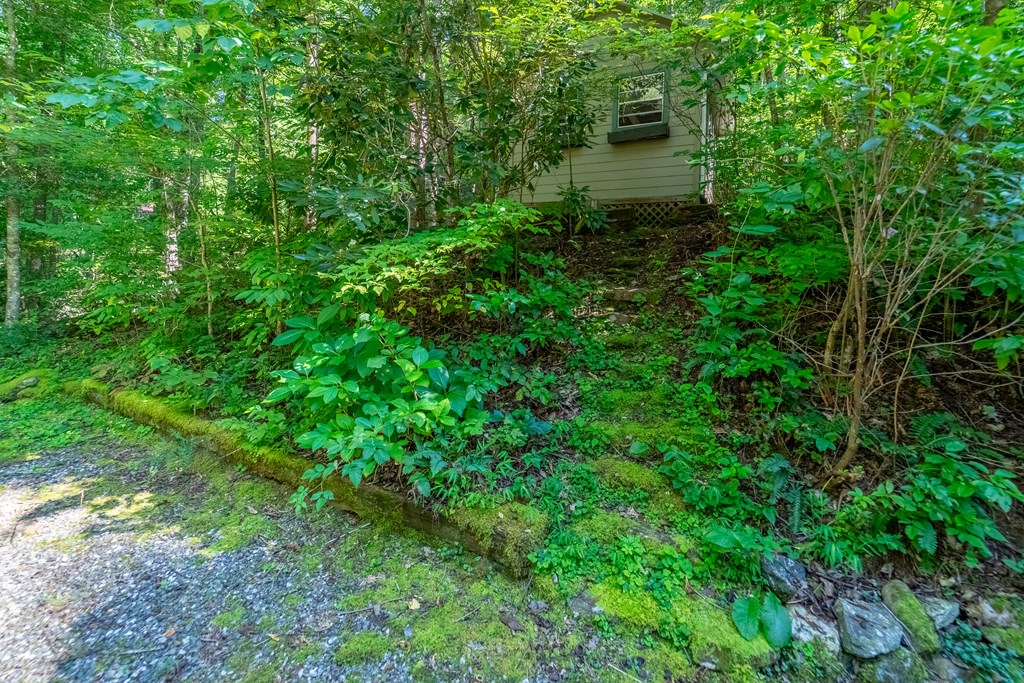 273 Happy Nest Road