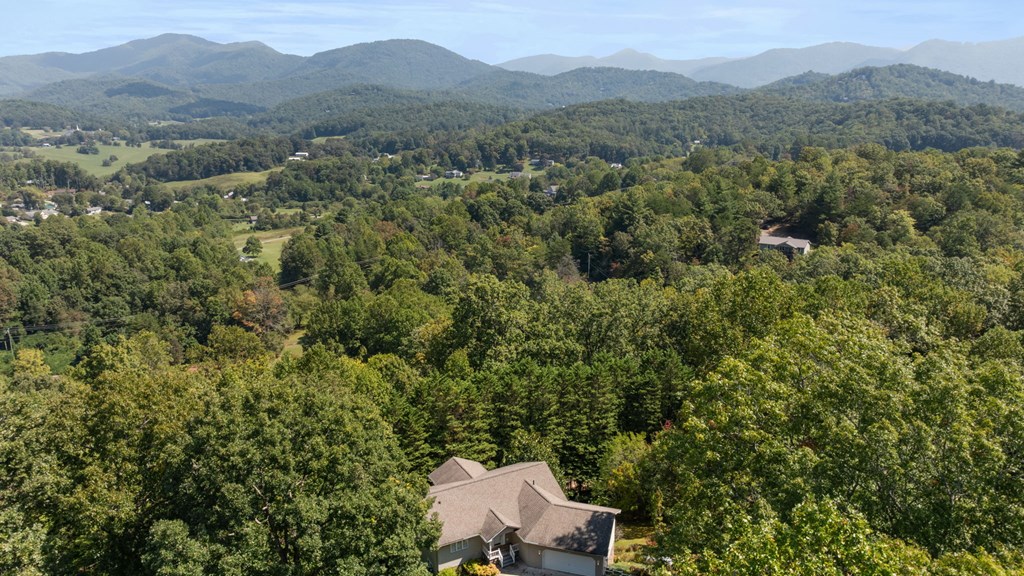 132 Mountain Circle