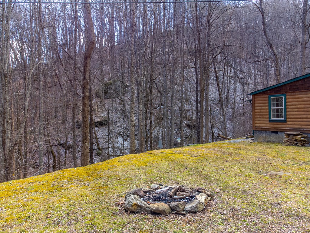 1668 Buff Creek Road