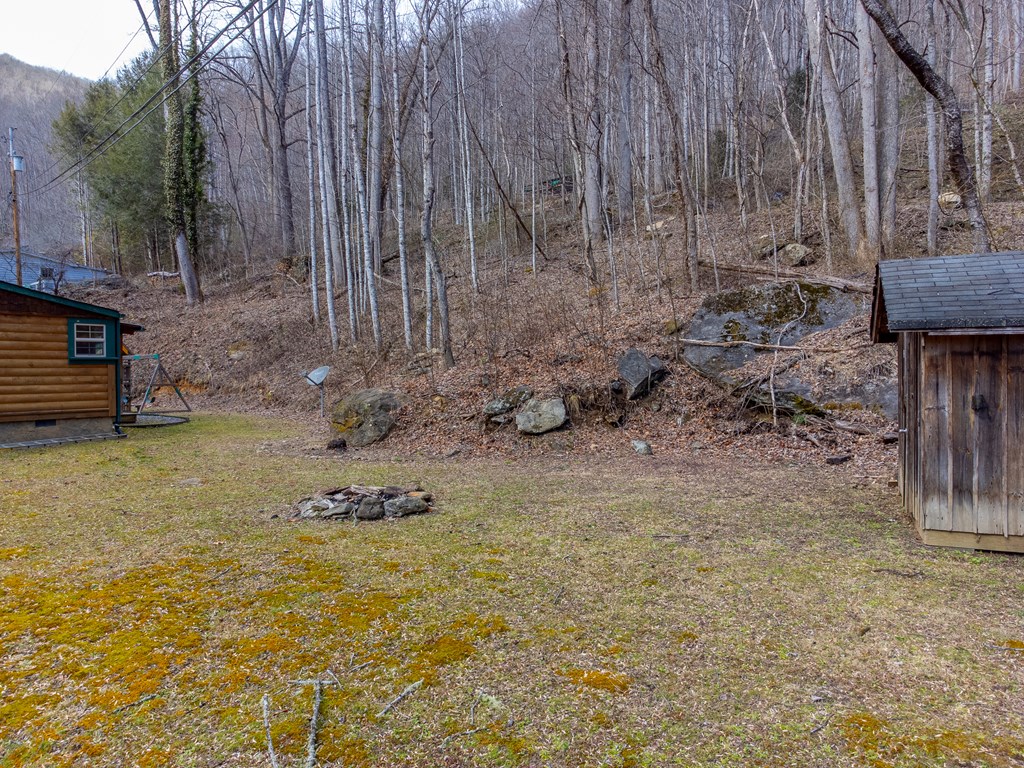 1668 Buff Creek Road