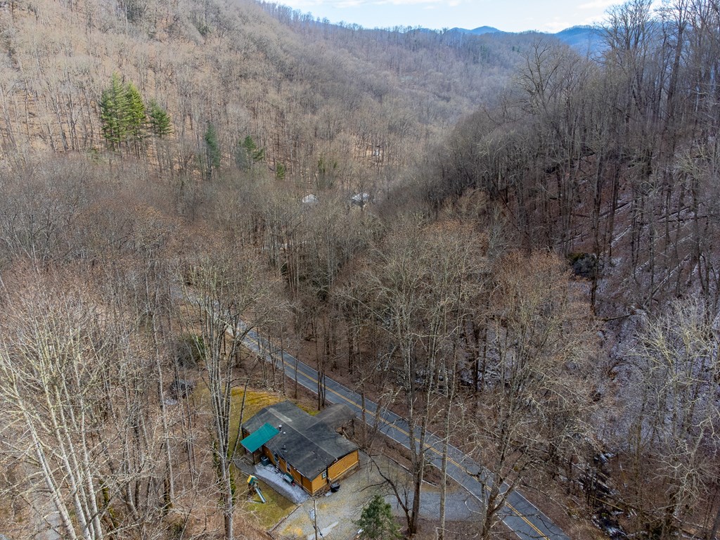 1668 Buff Creek Road