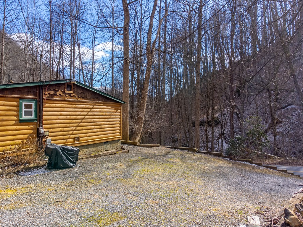 1668 Buff Creek Road