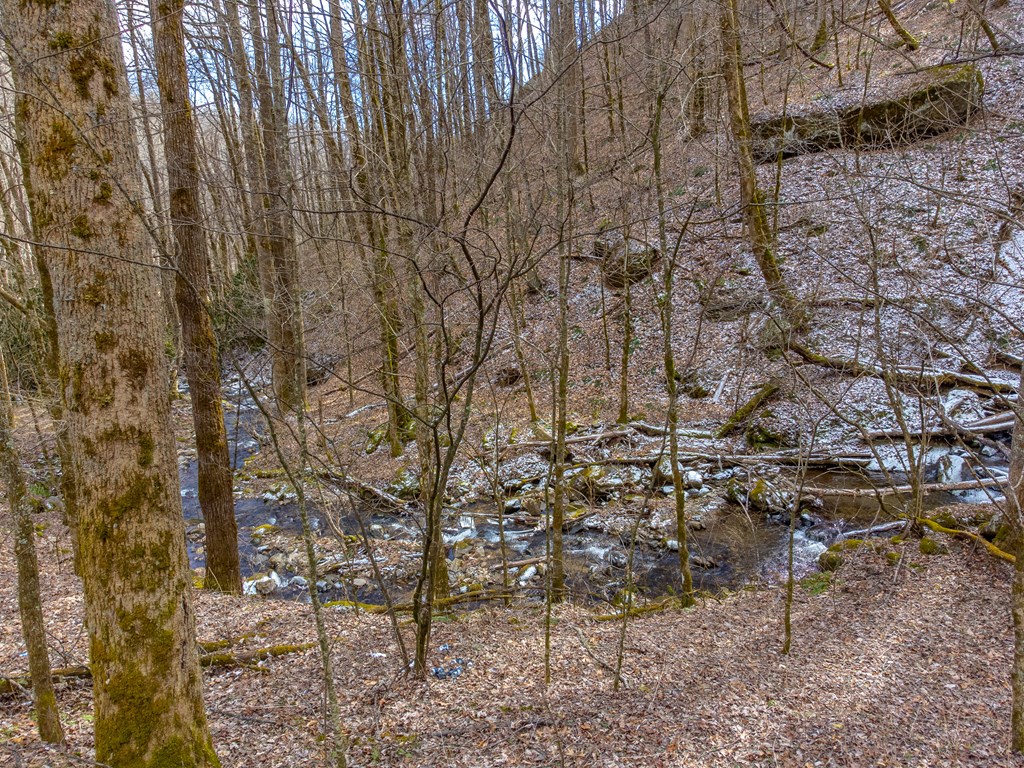 1668 Buff Creek Road