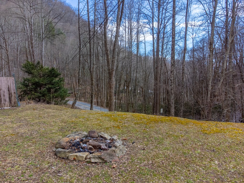 1668 Buff Creek Road