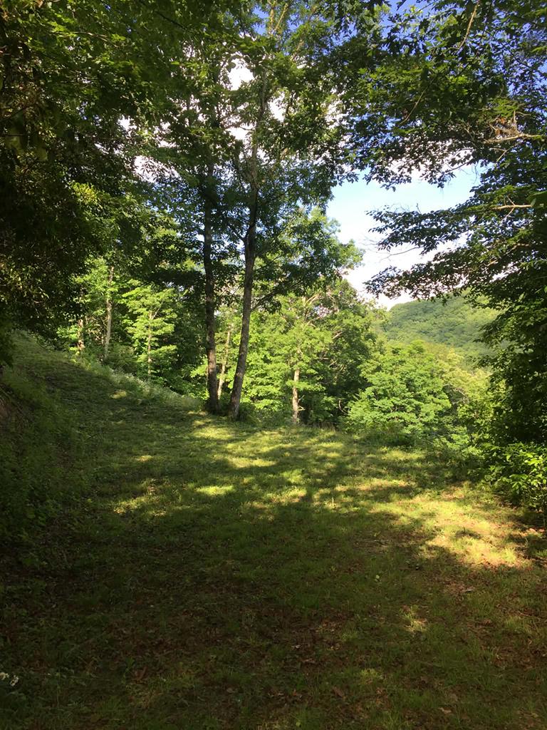 00 Crisscross Lane, Lots 20, 21