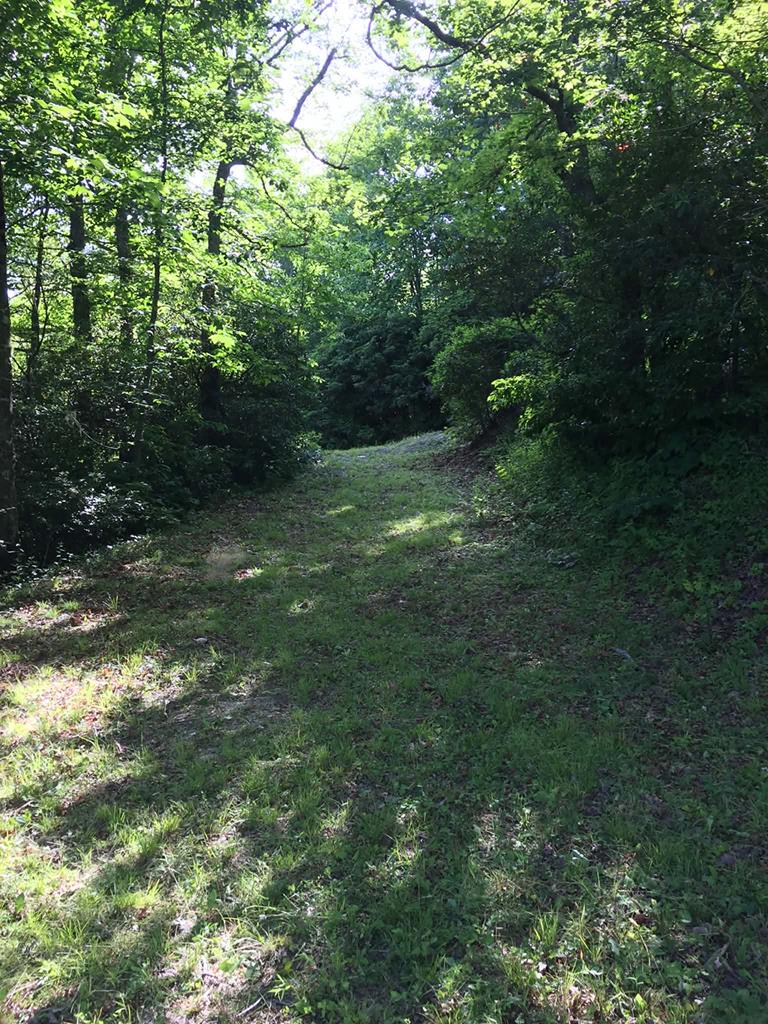 00 Crisscross Lane, Lots 20, 21