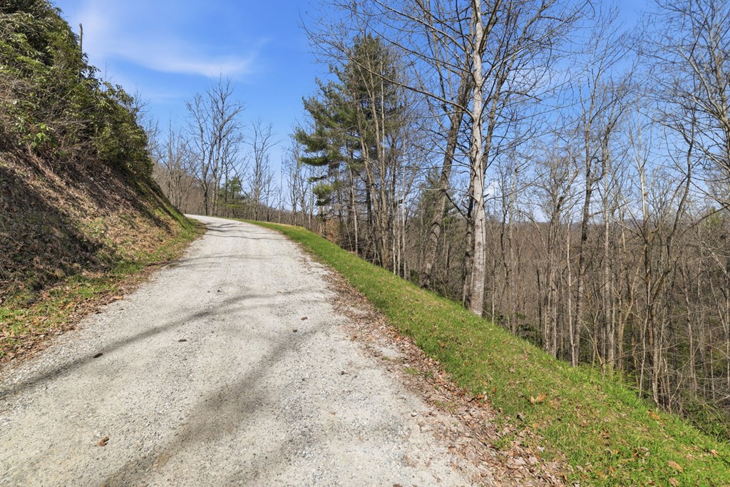 0 Double Springs Drive