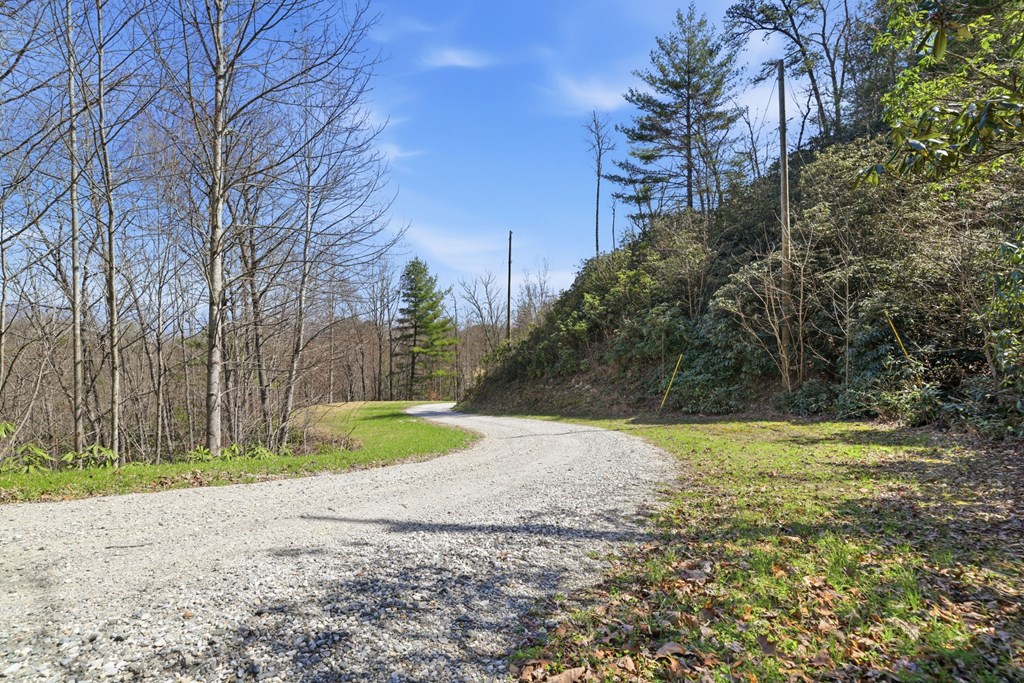 0 Double Springs Drive