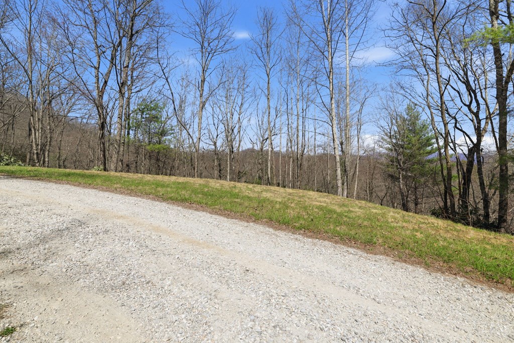 0 Double Springs Drive